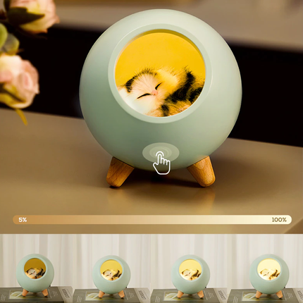 Oppladbar nattlampe med sovende katt